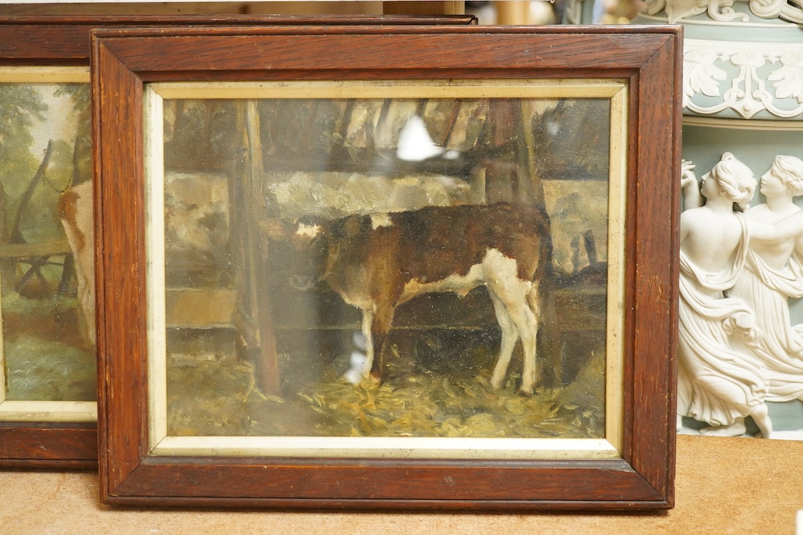 Late 19th / early 20th century English School, Studies of cows, unsigned, pair of oils on canvas, 16 x 20cm